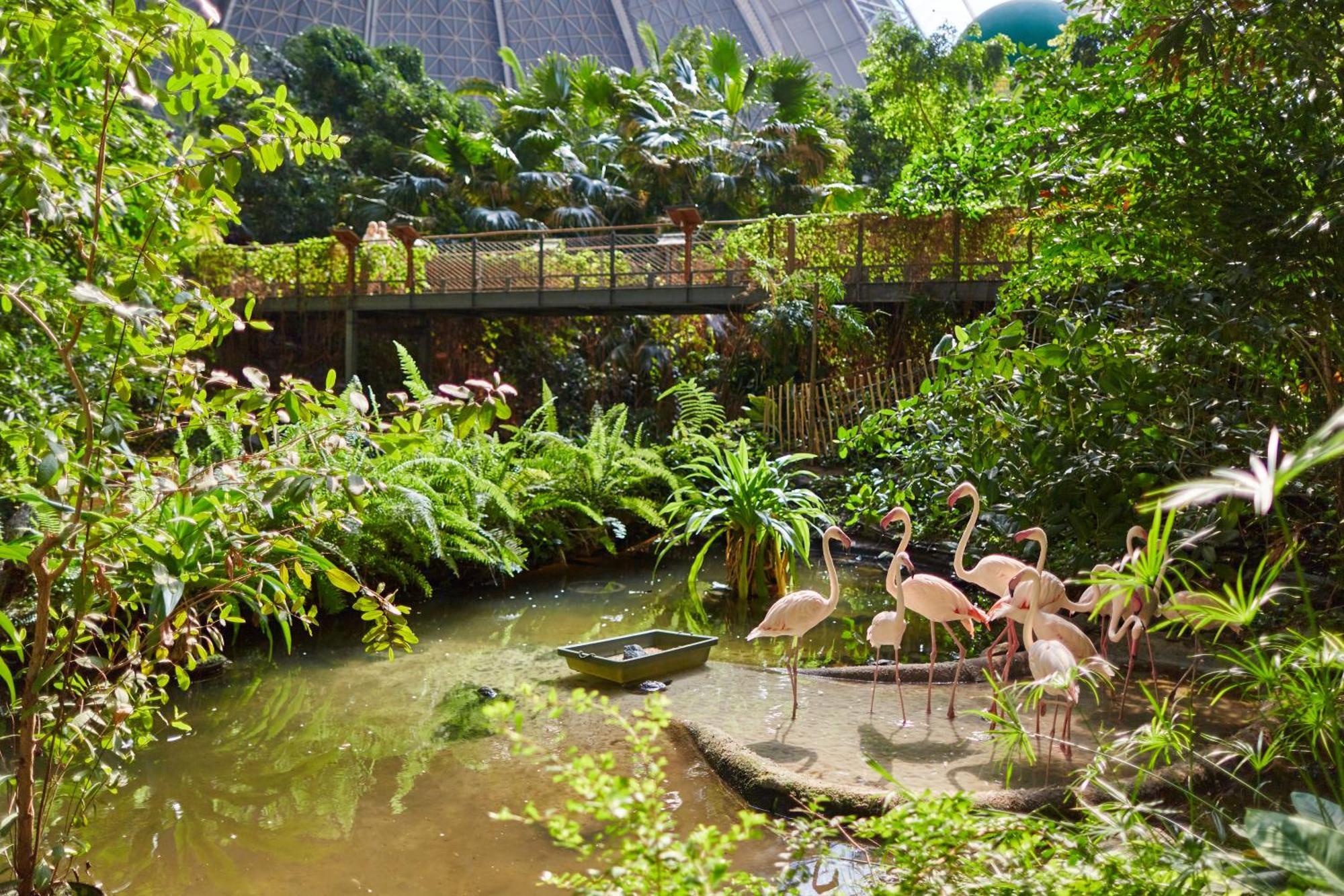 Tropical Islands Resort Briesen  Esterno foto